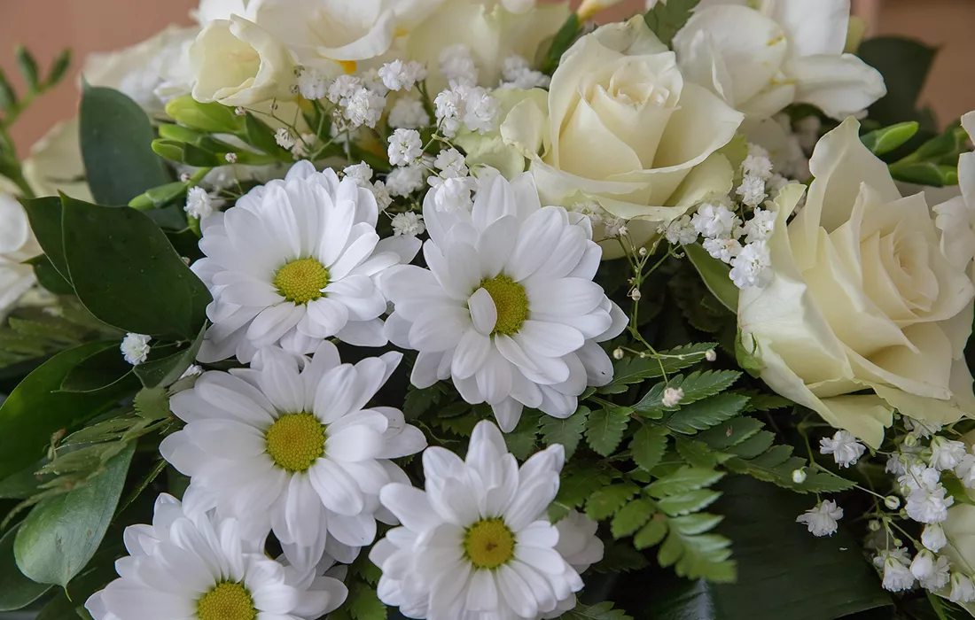 Floristería Palencia Martínez: Arte Floral para el Recuerdo y la Celebración Floristería Palencia Martínez: Arte Floral para el Recuerdo y la Celebración