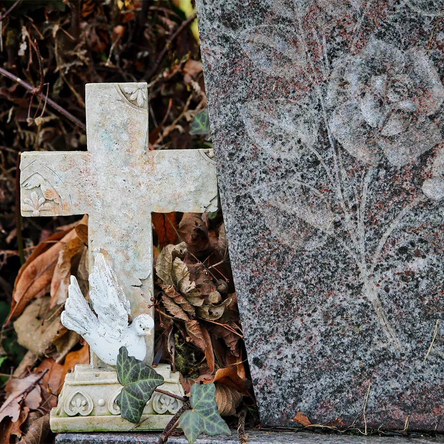 Tanatorio de Tudela de Duero (Valladolid) Tanatorio de Tudela de Duero (Valladolid)